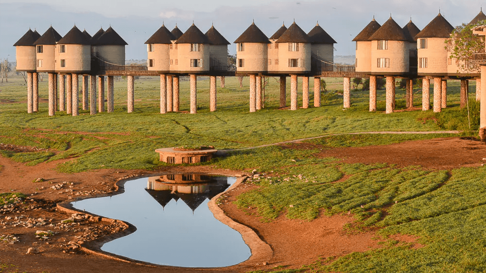 Amboseli & Taita Hills