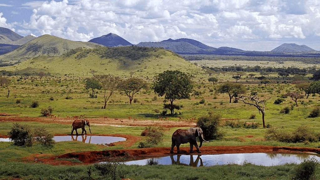 7 giorni: Masai Mara, Lago Nakuru, Amboseli, Tsavo Ovest & Tsavo Est